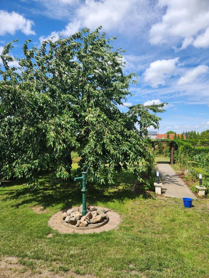 Neumuehler Hof Ferienwohnung "Stefan" Bietet 4 Schlafzimmer Und 4 Baeder , Eine Grosse Badewanne Und Grosser Terrasse Zum Garten, Kostenfreie Parkmoeglichkeiten 슈베린 외부 사진